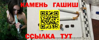 крисы Будённовск