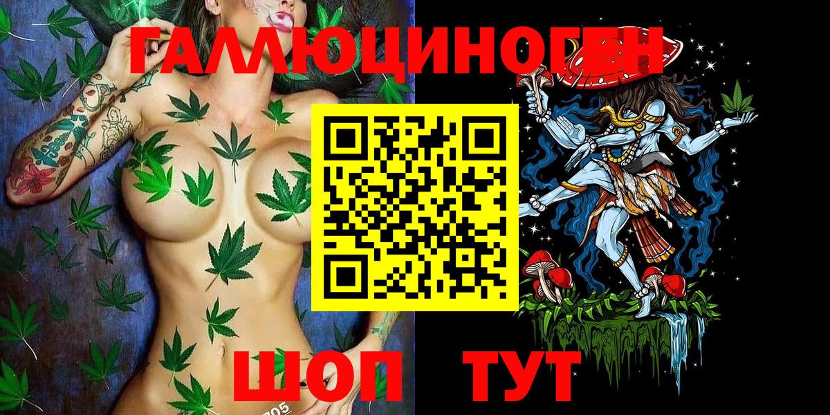 Псилоцибиновые грибы Psilocybine cubensis Подольск