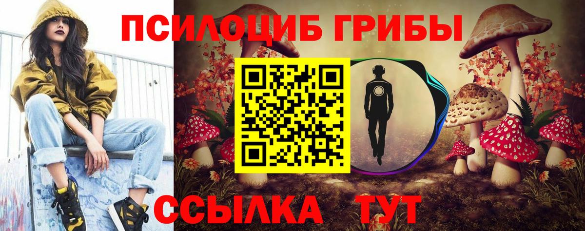 Подольск  Псилоцибиновые грибы Cubensis  Псилоцибиновые грибы Psilocybine cubensis  Вход с VPN 